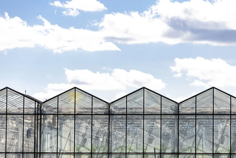 Architecte agricole à Bédoin